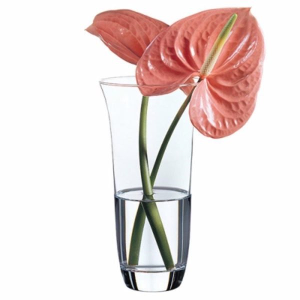 ALEGRIA VASE 20.5CM